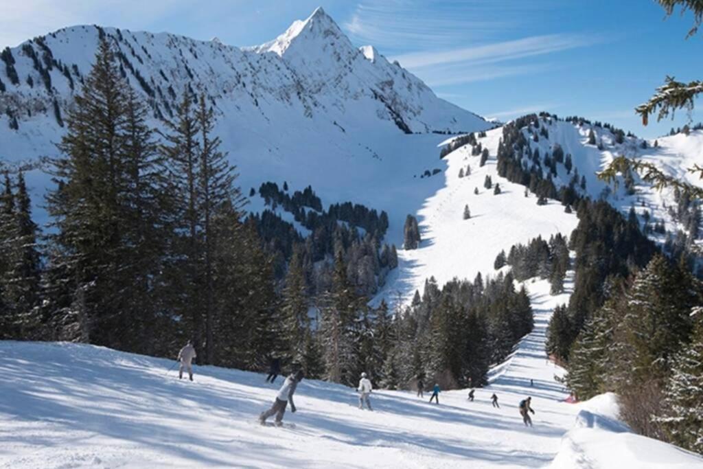 Les Cimes, Chaleureux Studio 4 Pers, 50M Du Telecabine, Vue Degagee Sur Les Pistes, Draps Non Compris Saint-Jean-dʼAulps Екстериор снимка