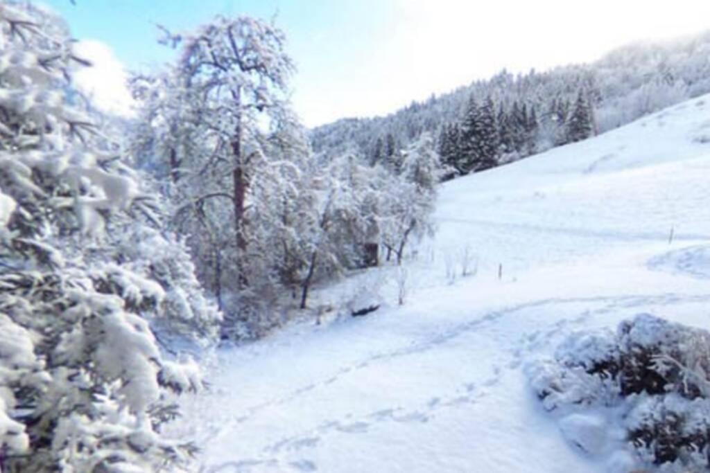 Les Cimes, Chaleureux Studio 4 Pers, 50M Du Telecabine, Vue Degagee Sur Les Pistes, Draps Non Compris Saint-Jean-dʼAulps Екстериор снимка