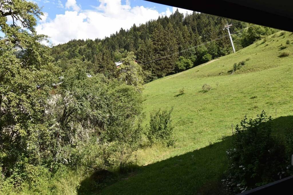 Les Cimes, Chaleureux Studio 4 Pers, 50M Du Telecabine, Vue Degagee Sur Les Pistes, Draps Non Compris Saint-Jean-dʼAulps Екстериор снимка